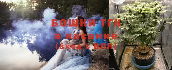 гидра Белоозёрский