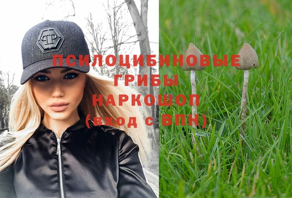 гидропоника Балахна